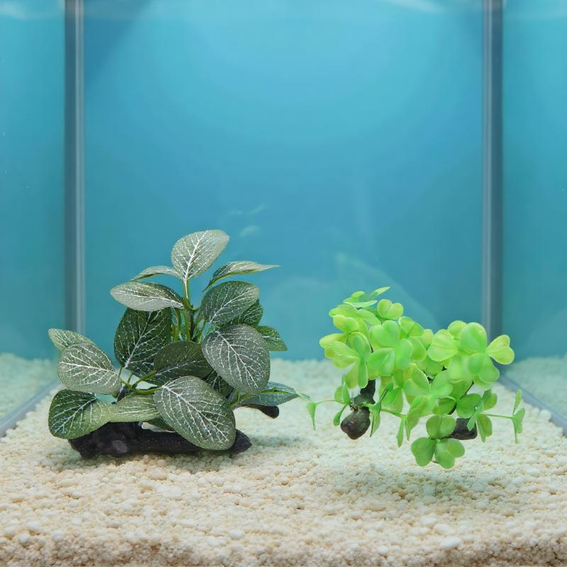Planted Aquarium With Driftwood - Sztuczne drzewo z drzewa spalonego do