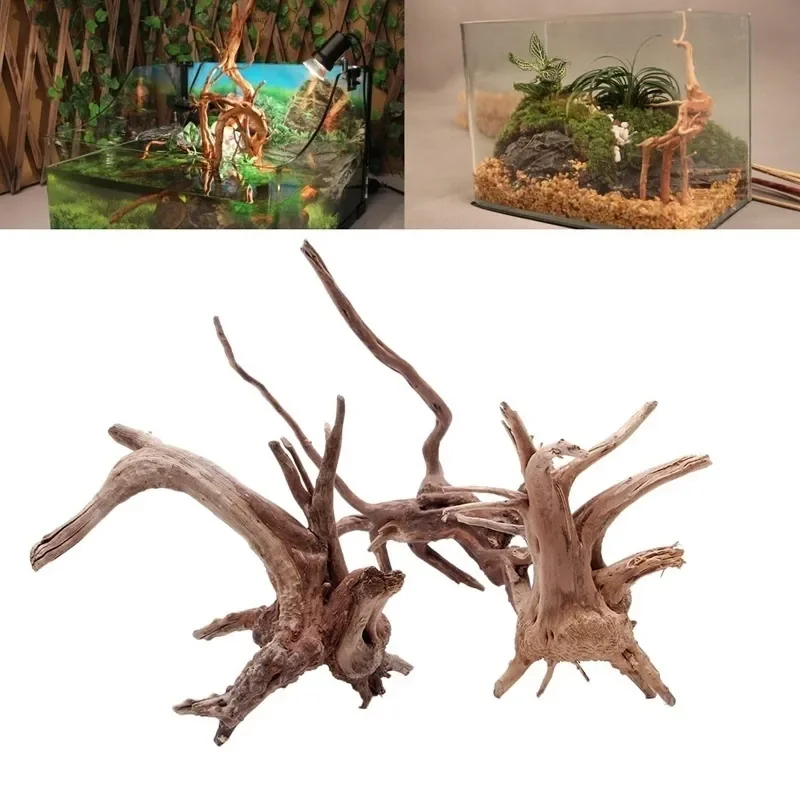 Planted Aquarium With Driftwood - Naturalne drzewo pnia Driftwood akwarium korzenie