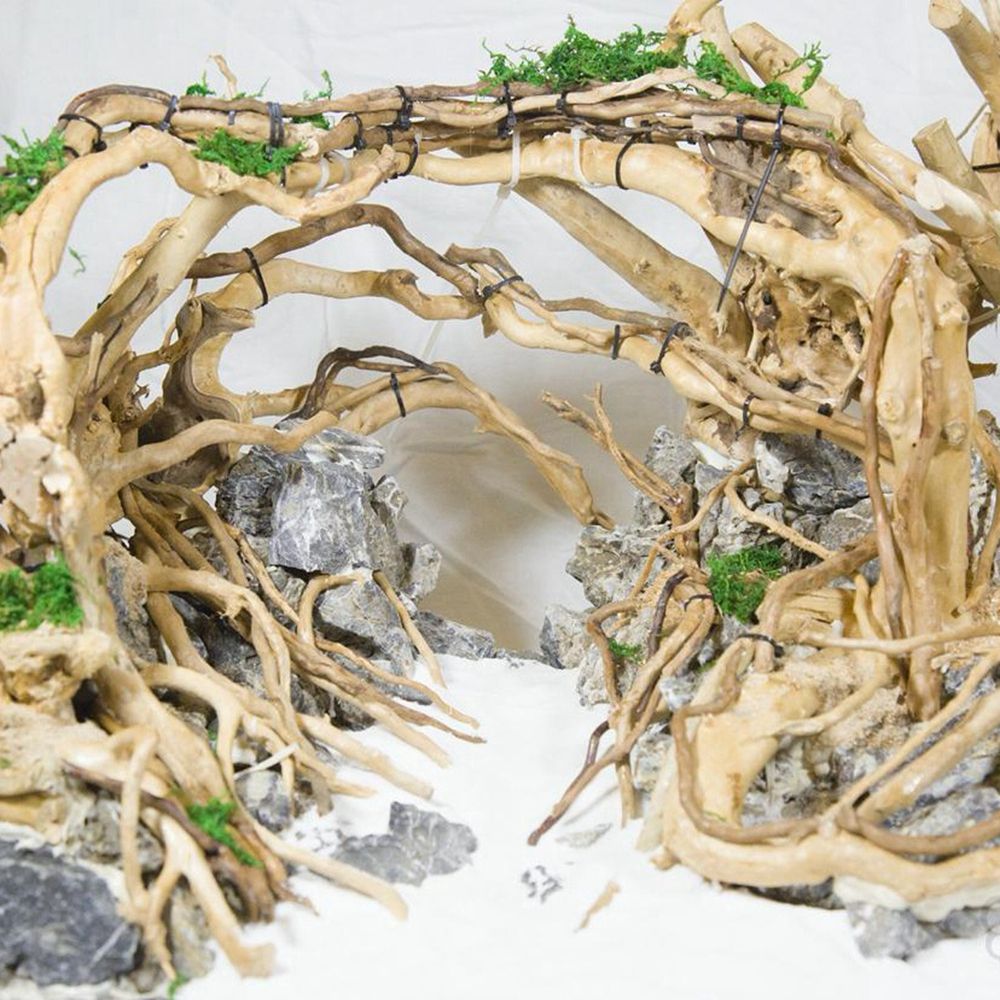 Planted Aquarium With Driftwood - Drewno N1N Tło do terrarium dla