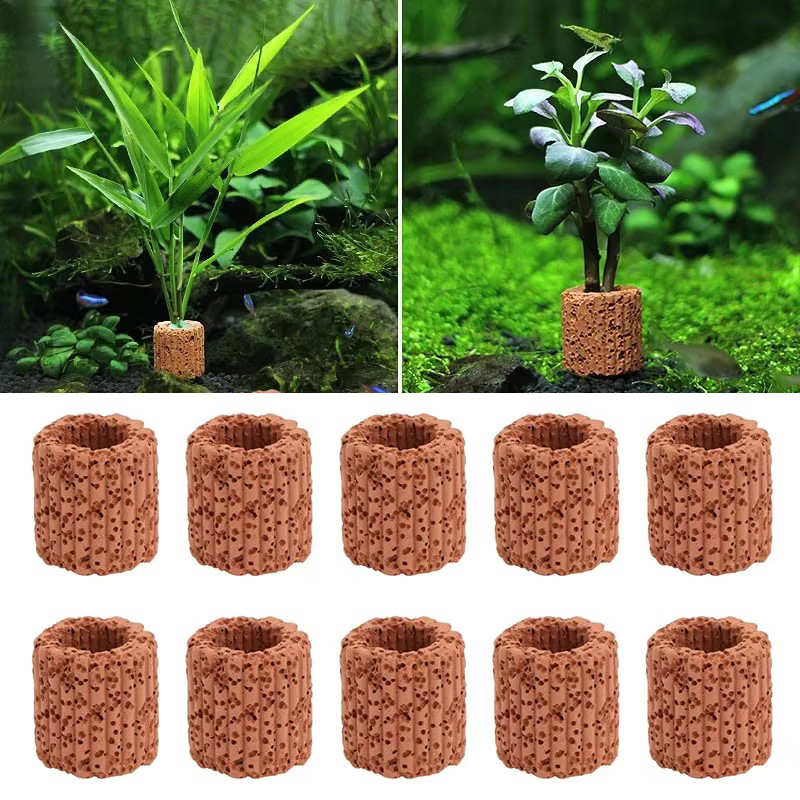 Planted Aquarium Products - Stały pierścień do roślin wodnych do