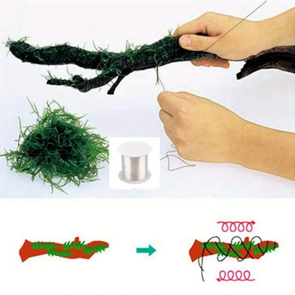 Planted Aquarium With Driftwood - 1 Rolka DIY Lina Mchu Lina