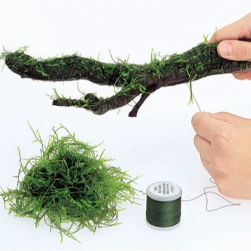 Planted Aquarium With Driftwood - Biodegradowalna nić do akwarium z mechem,