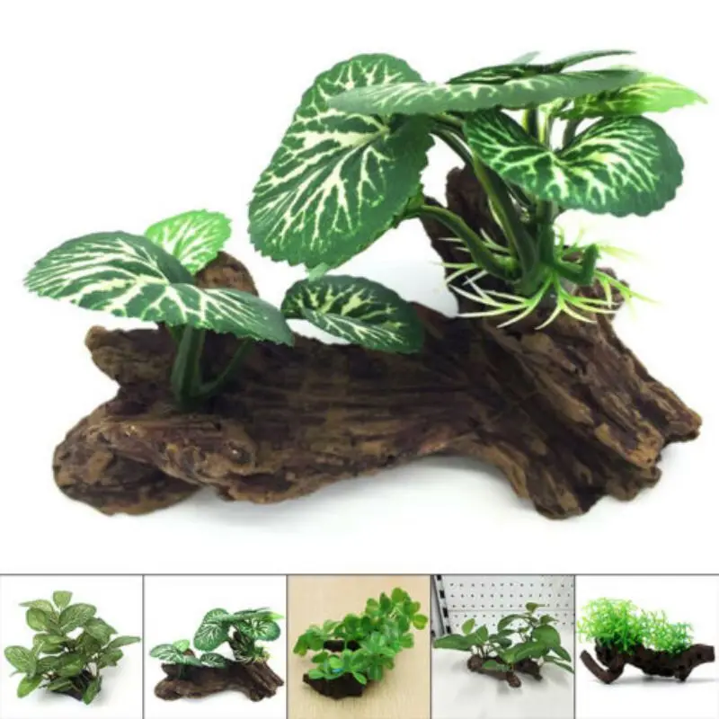 Plastikowy sztuczny żółw tron  – Planted Aquarium With Driftwood recenzja i cena