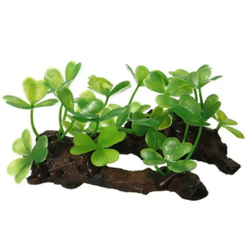 Plastikowy sztuczny żółw tron  – Planted Aquarium With Driftwood recenzja i cena