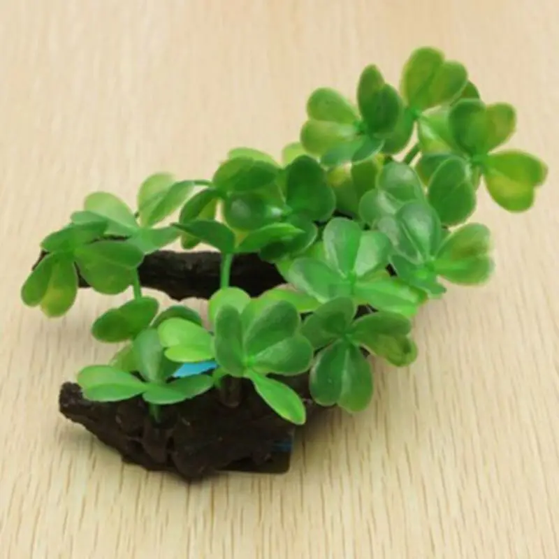 Plastikowy sztuczny żółw tron  – Planted Aquarium With Driftwood recenzja i cena