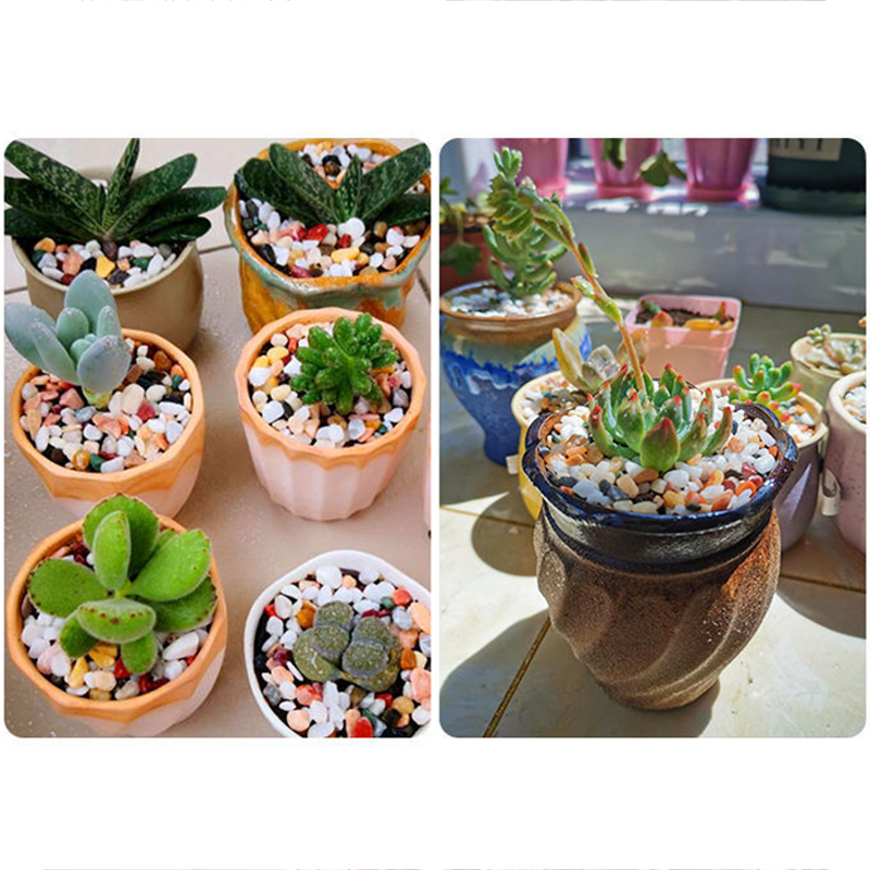 Piasek naturalny do akwarium 5 – Aquarium Plant Gravel recenzja i cena
