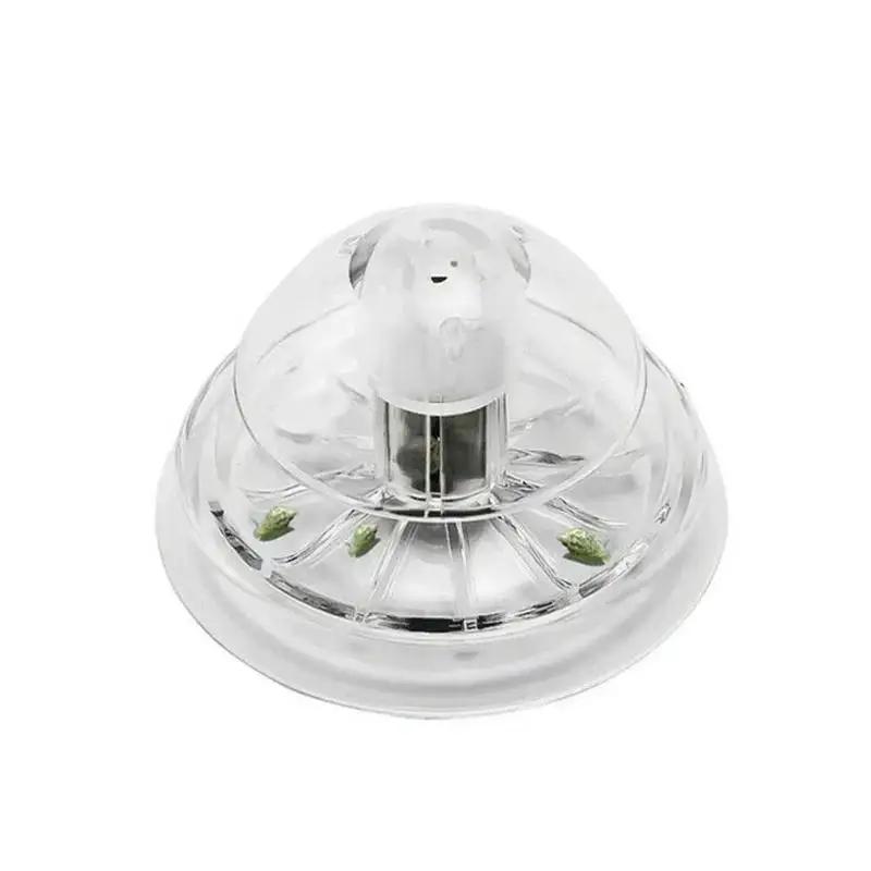 2026 Nowa przezroczysta plasti – Planted Aquarium Supplies recenzja i cena