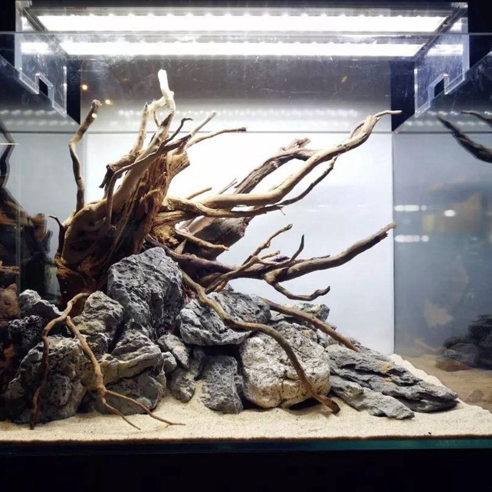 Drewno N1N Tło do terrarium dl – Planted Aquarium With Driftwood recenzja i cena