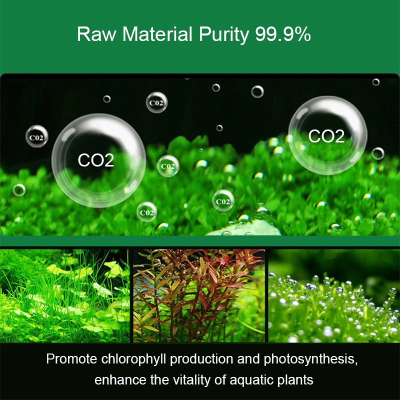 Generator CO2 do akwarium, rea – Planted Aquarium Cleaning Kit recenzja i cena