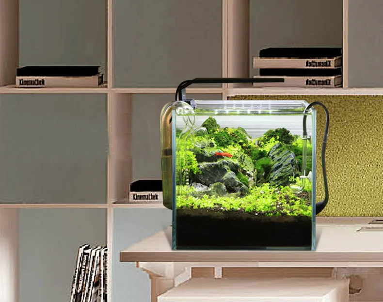 Chihiros C Series ADA Style Pl – Planted Aquarium Mini recenzja i cena