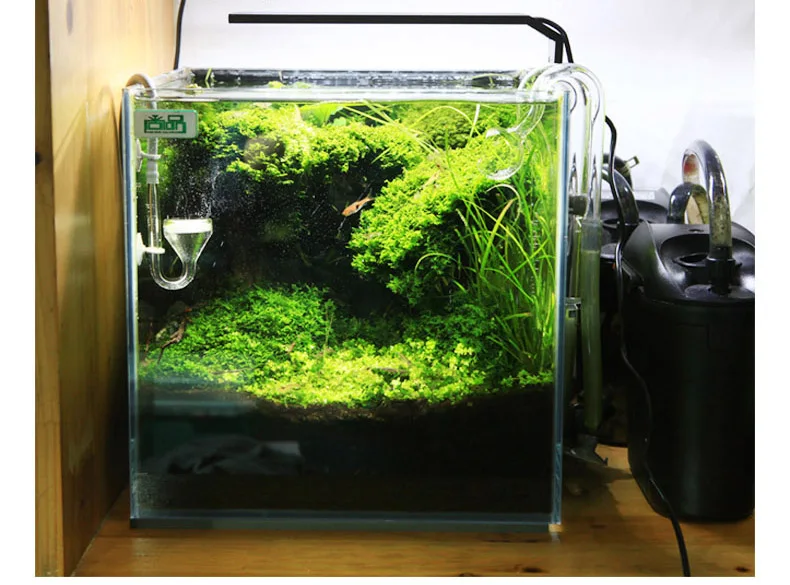 Chihiros C Series ADA Style Pl – Planted Aquarium Mini recenzja i cena