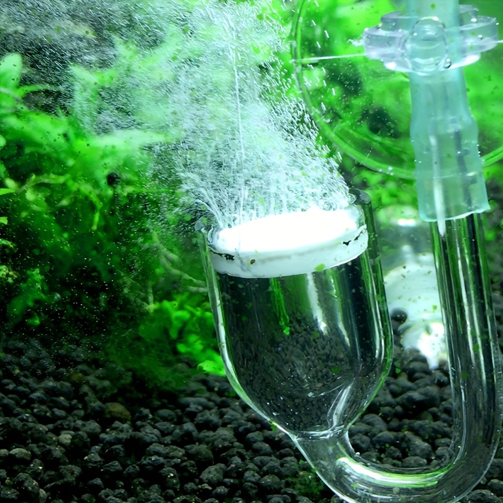 Szklany atomizer CO2 do akwari – Planted Aquarium Supplies recenzja i cena