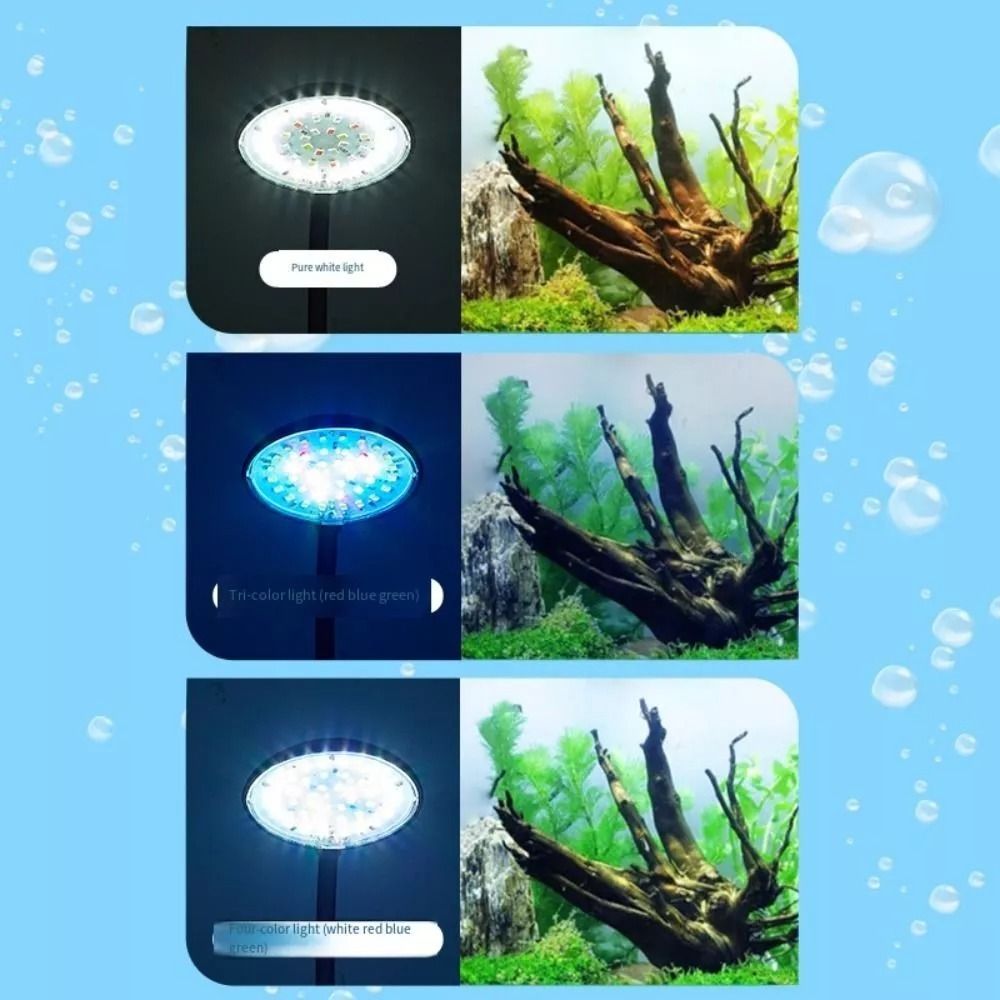 Nowa mini lampa z klipsem do a – Planted Aquarium Mini recenzja i cena