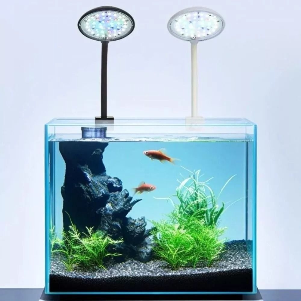 Nowa mini lampa z klipsem do a – Planted Aquarium Mini recenzja i cena