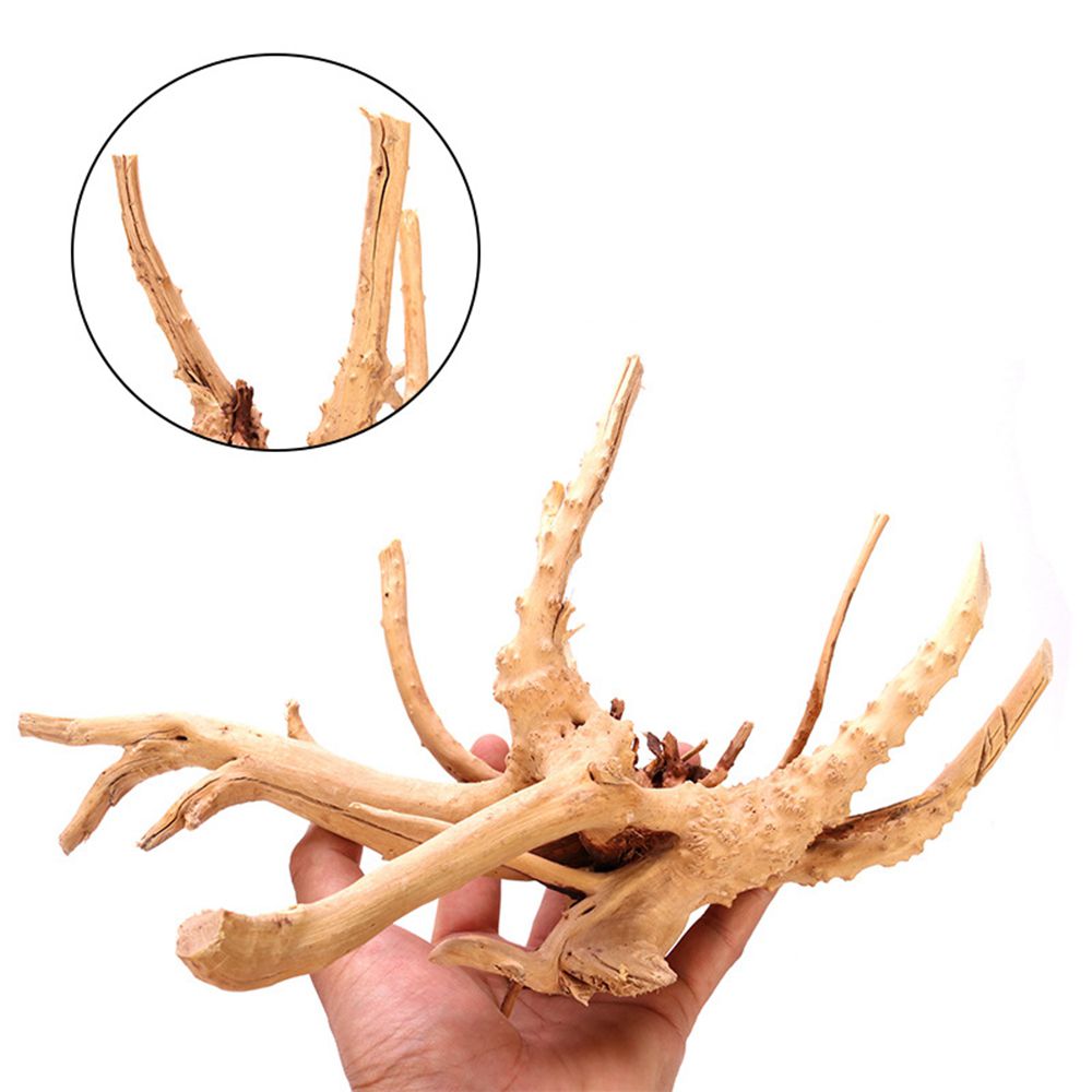 Drewno N1N Dekoracja do akwari – Planted Aquarium With Driftwood recenzja i cena