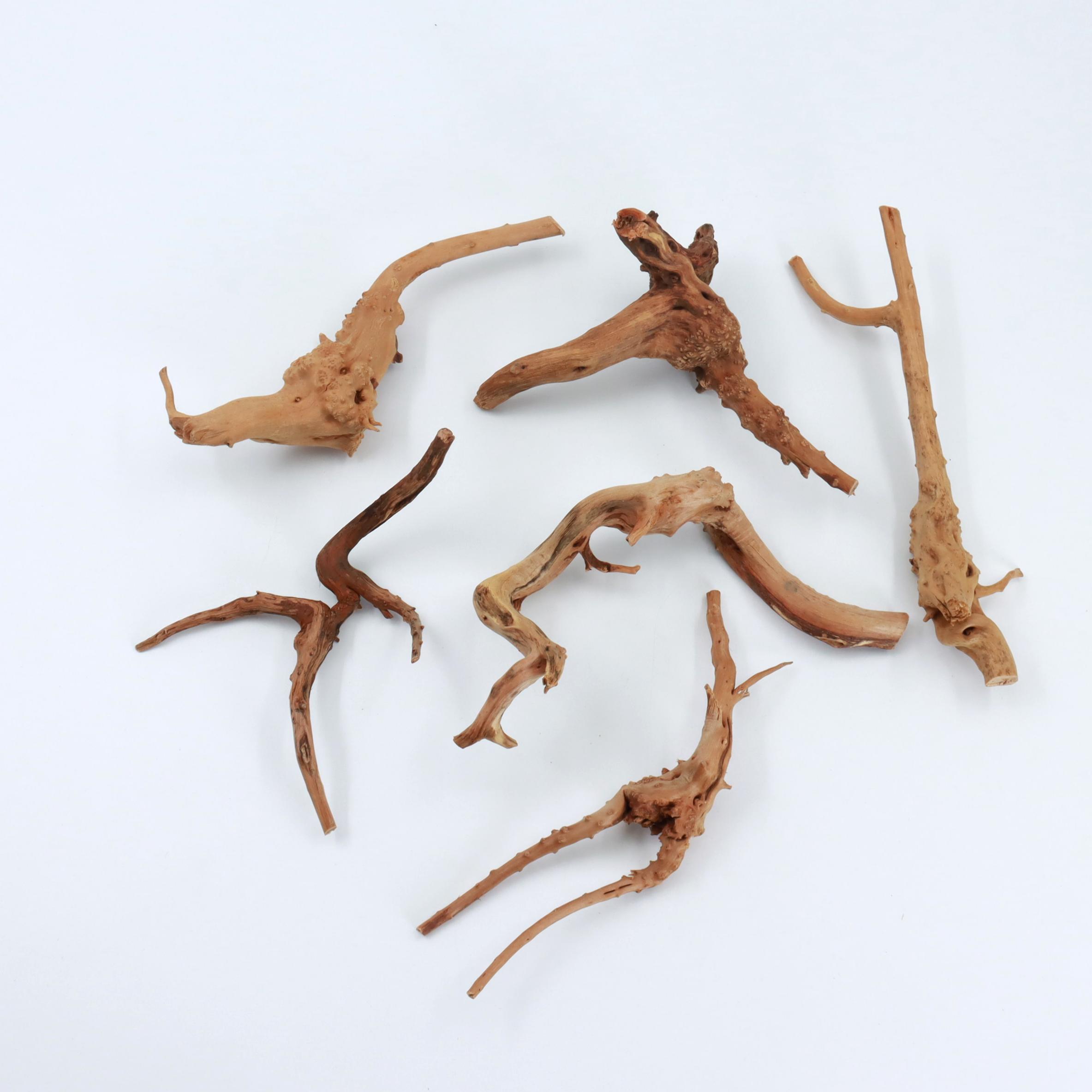 2 szt. Naturalne Małe Drewno P – Planted Aquarium With Driftwood recenzja i cena