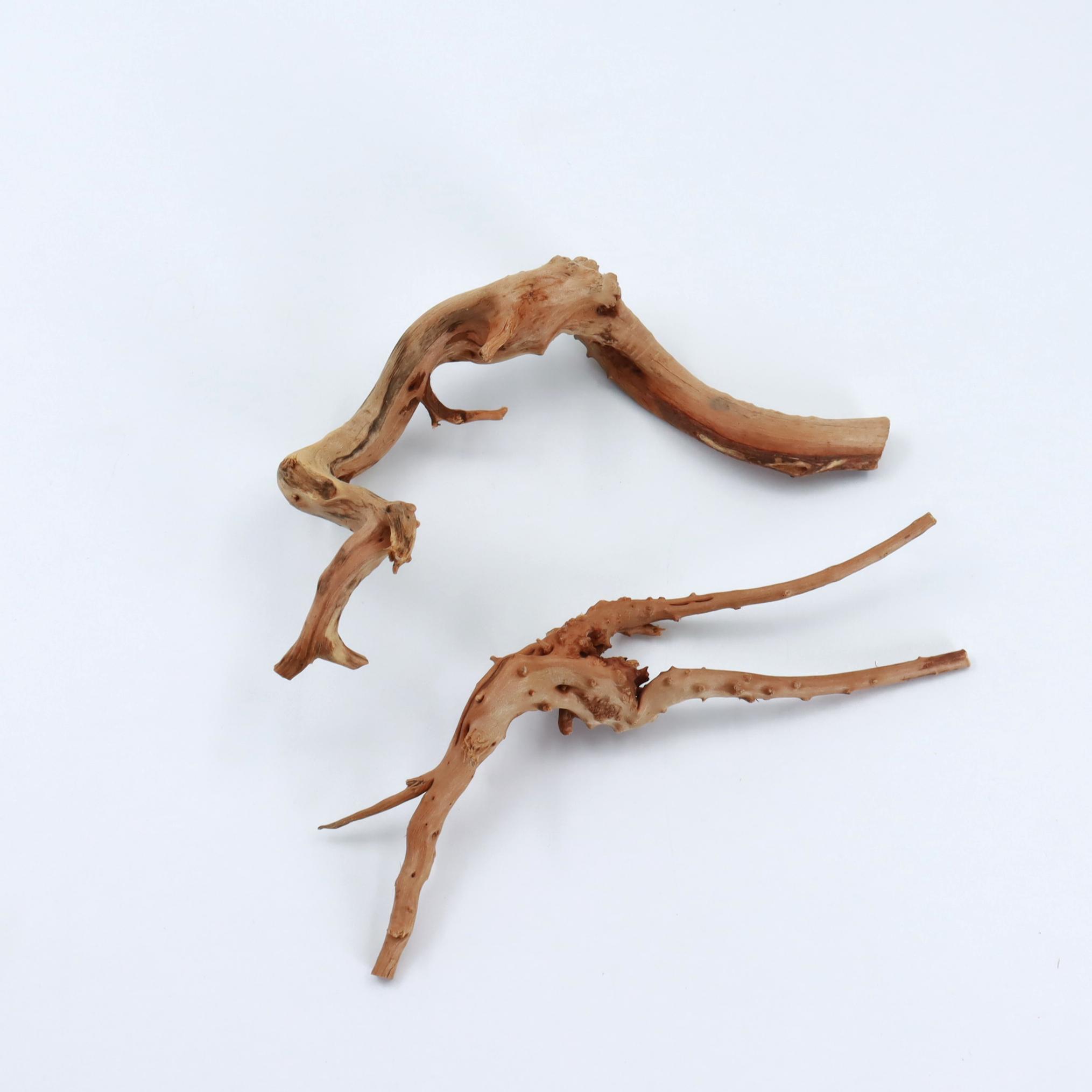 2 szt. Naturalne Małe Drewno P – Planted Aquarium With Driftwood recenzja i cena