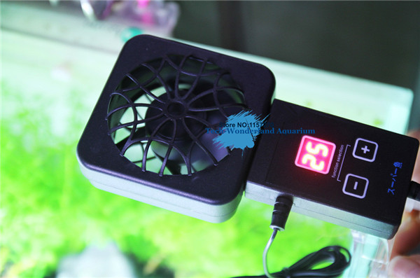 Mini nano clip powiesić na czu – Planted Aquarium Mini recenzja i cena