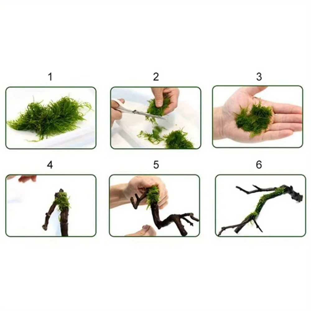 1 Rolka DIY Lina Mchu Lina do  – Planted Aquarium With Driftwood recenzja i cena
