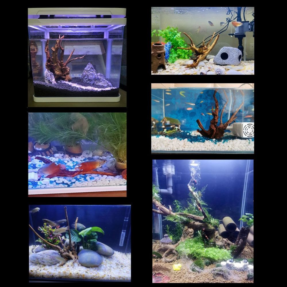 Drewno do akwarium 20-25 cm, n – Planted Aquarium With Driftwood recenzja i cena