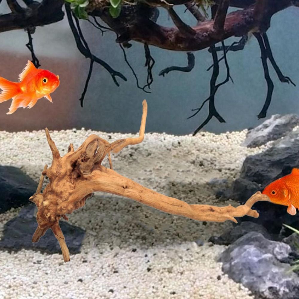 Drewno do akwarium 20-25 cm, n – Planted Aquarium With Driftwood recenzja i cena