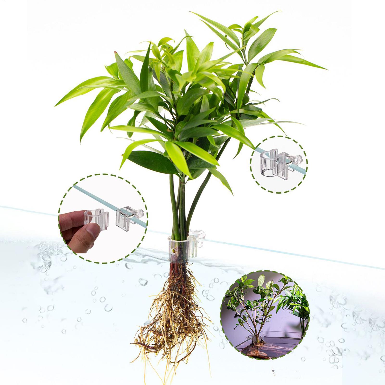 Mini Doniczki do Akwarium 6 sz – Planted Aquarium Mini recenzja i cena