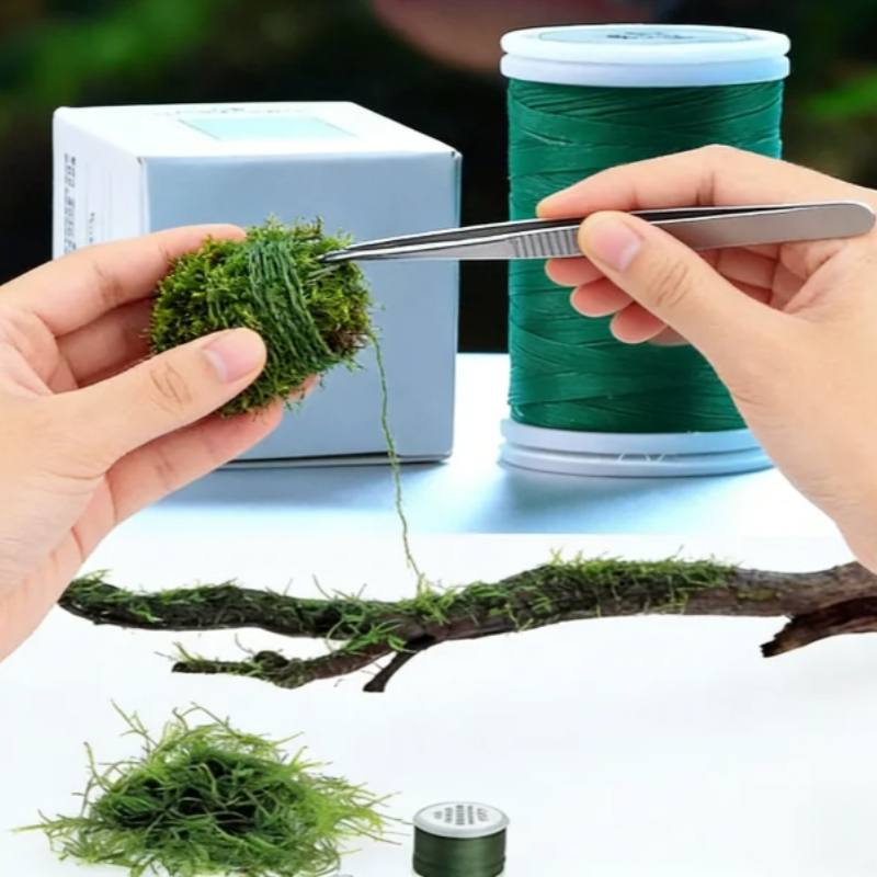 Biodegradowalna nić do akwariu – Planted Aquarium With Driftwood recenzja i cena