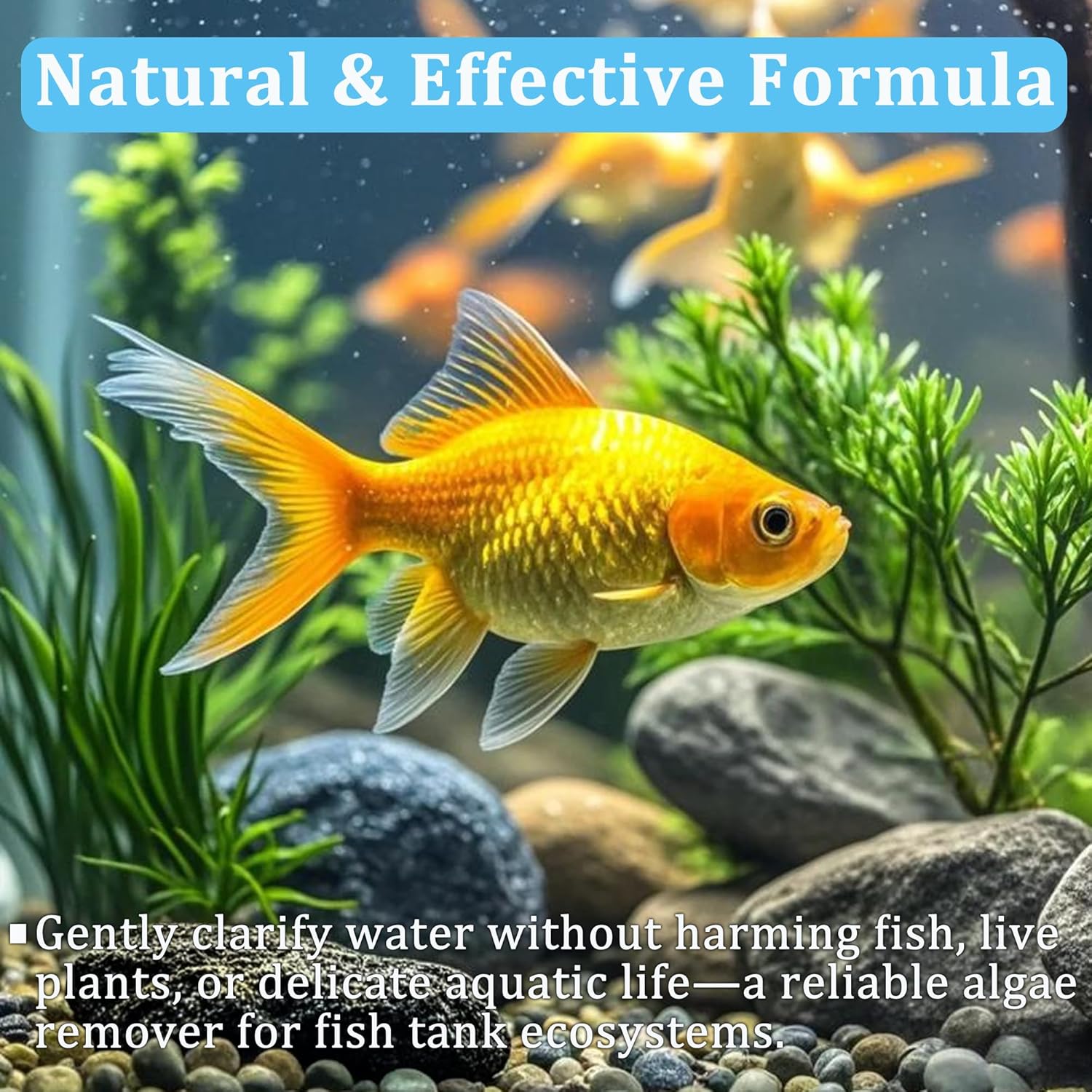 Tabletki do oczyszczania wody  – Aquarium Plant Nutrients recenzja i cena
