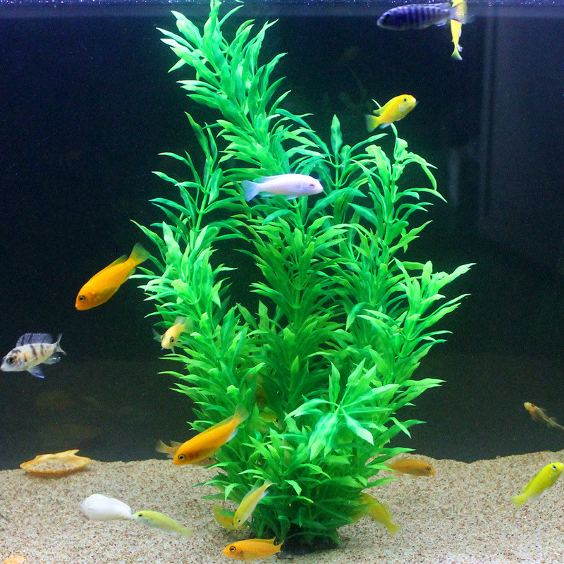 50CM sztuczne akwarium rzadkie – Planted Aquarium Supplies recenzja i cena