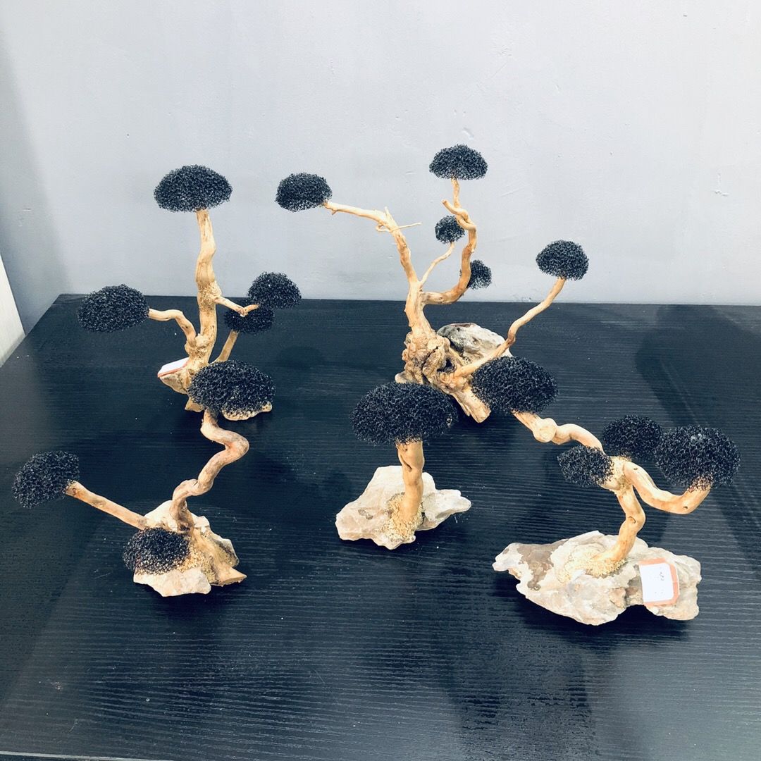 Dekoracja do akwarium, mchu, d – Planted Aquarium With Driftwood recenzja i cena