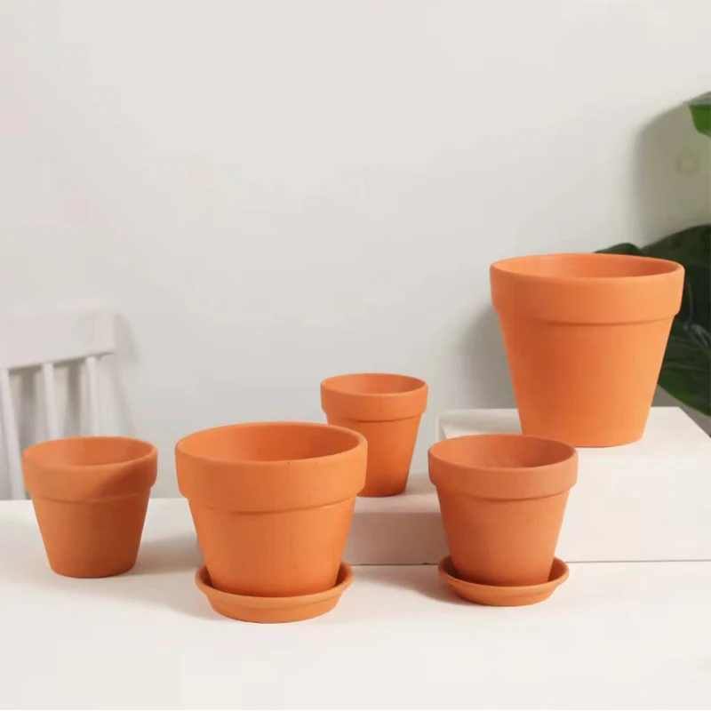 Czerwone błoto Dekoracja akwar – Planted Aquarium Mini recenzja i cena
