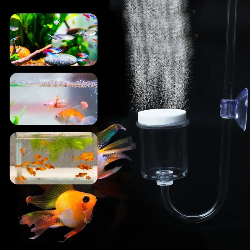 4szt Zestaw DIY Dyfuzor CO2 do – Planted Aquarium Supplies recenzja i cena