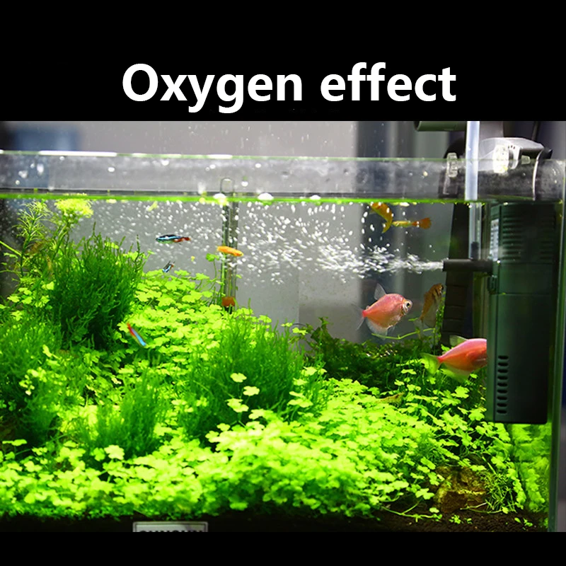 SUNSUN mini nano 111B 311B 611 – Planted Aquarium Mini recenzja i cena